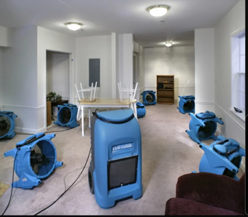 Air movers and dehumidifier setup for Water Extraction & Removal in Waynesboro