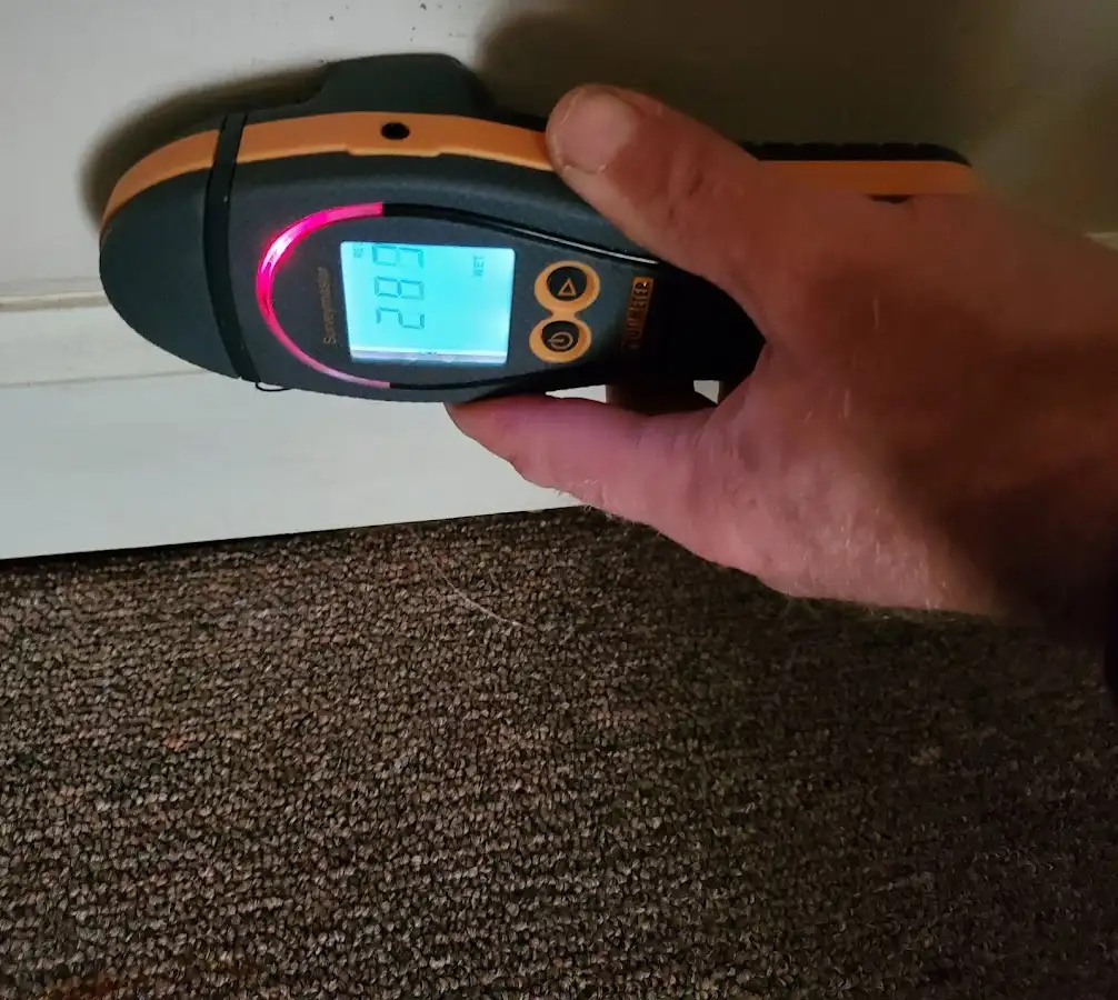 Moisture detection at baseboard during Mold Inspection & Testing in Waynesboro